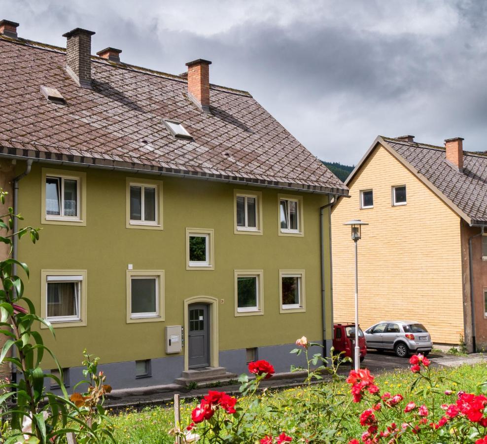 Eisenerz Stefan Apartment / Ferien Wohnung Εξωτερικό φωτογραφία