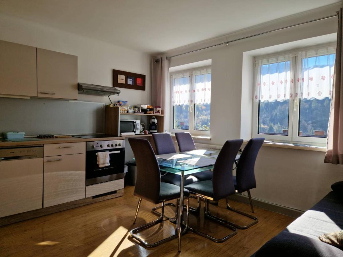 Eisenerz Stefan Apartment / Ferien Wohnung Εξωτερικό φωτογραφία